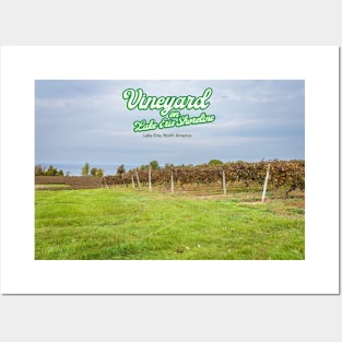 Vineyard on Lake Erie Shoreline Posters and Art